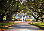 Boone Hall Plantation in Charleston, SC thumbnail